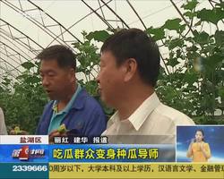 吃瓜群众变身种瓜导师