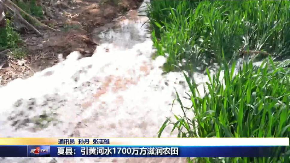 夏县：引黄河水1700万方滋润农田